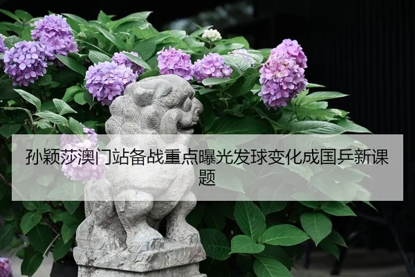 孙颖莎澳门站备战重点曝光发球变化成国乒新课题