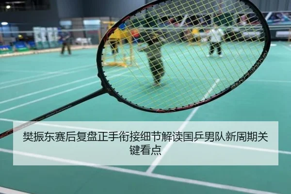 樊振东赛后复盘正手衔接细节解读国乒男队新周期关键看点